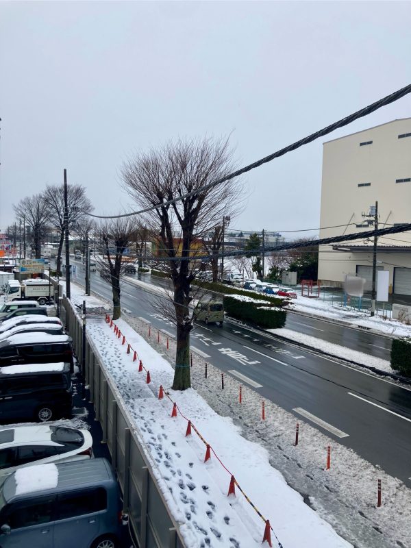 画像:積もりましたね⛄