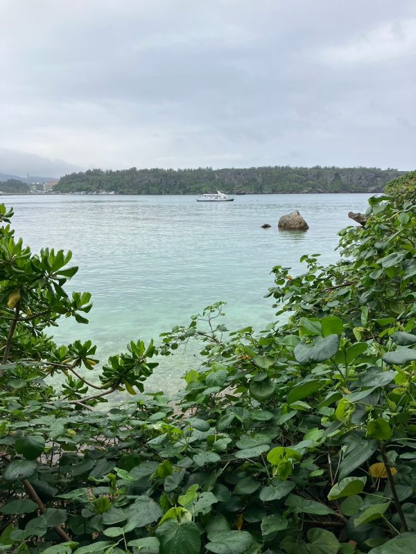 画像:🌴大和㏌沖縄 2日目🌴