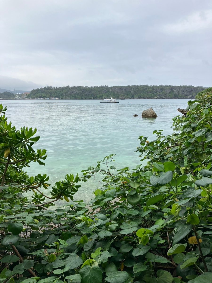 画像：🌴大和㏌沖縄　２日目🌴