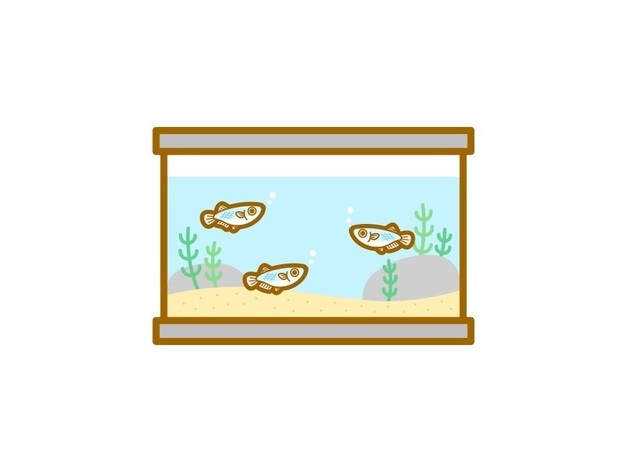 画像:おはようございます!