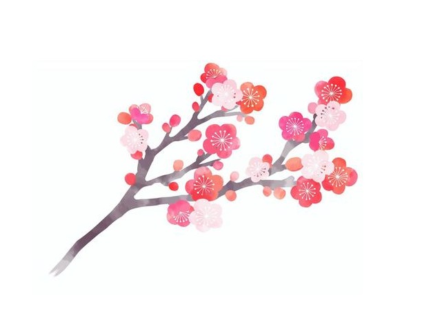 画像:2025年3月26日(水)
