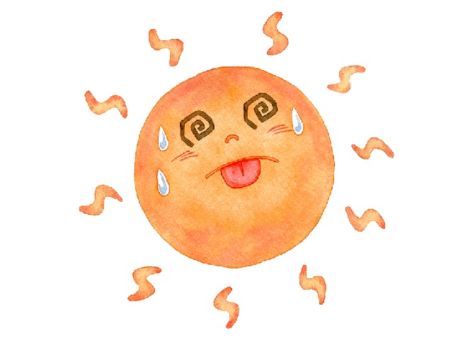 画像:2025年6月17日(火)
