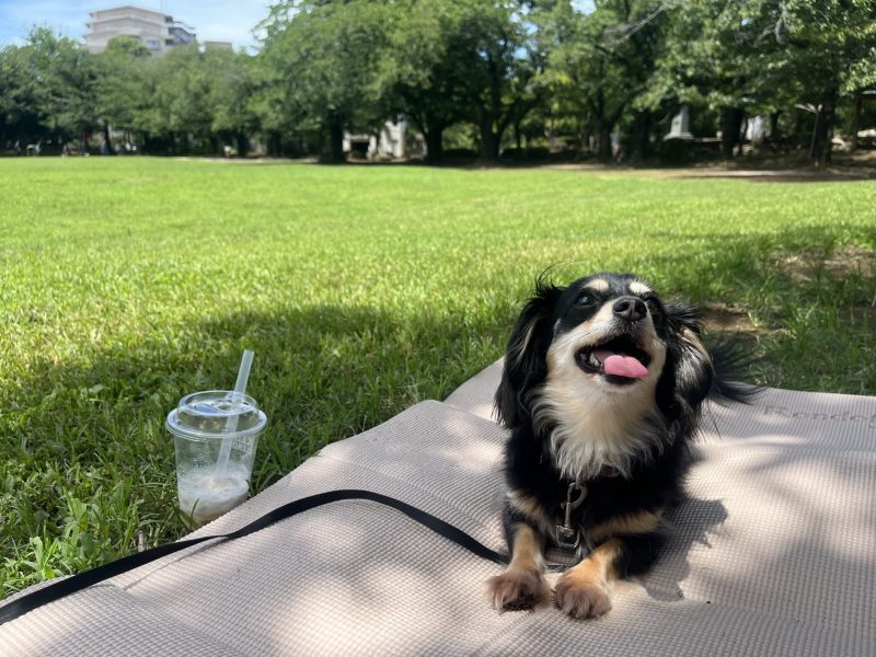 画像:🌿お気に入りの公園で朝時間🌞