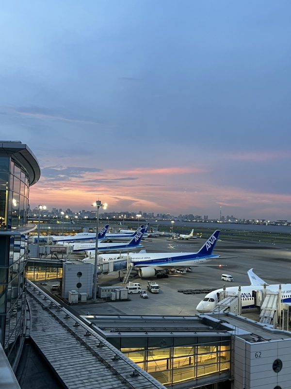 画像:✈️ 次女、アメリカへ!この夏の大冒険🌿