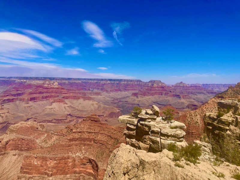 画像:🌏 娘からのアメリカ便り ✉️