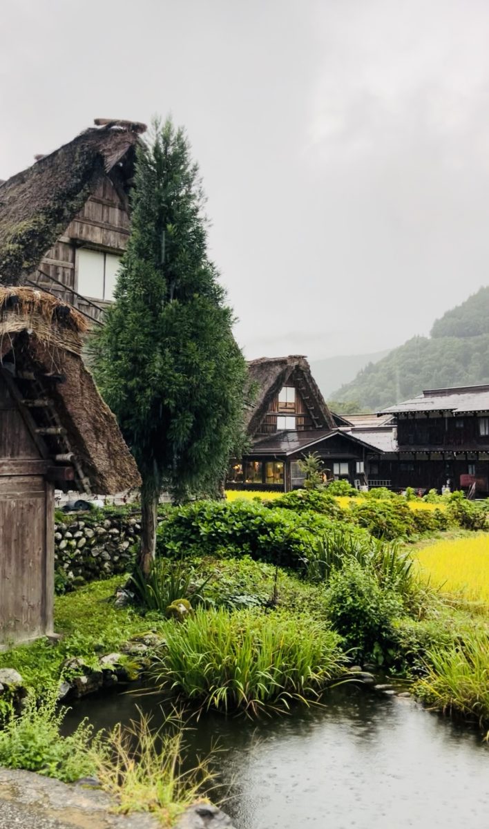 画像：🌿3連休のハイキング旅🚶‍♀️🚶‍♂️