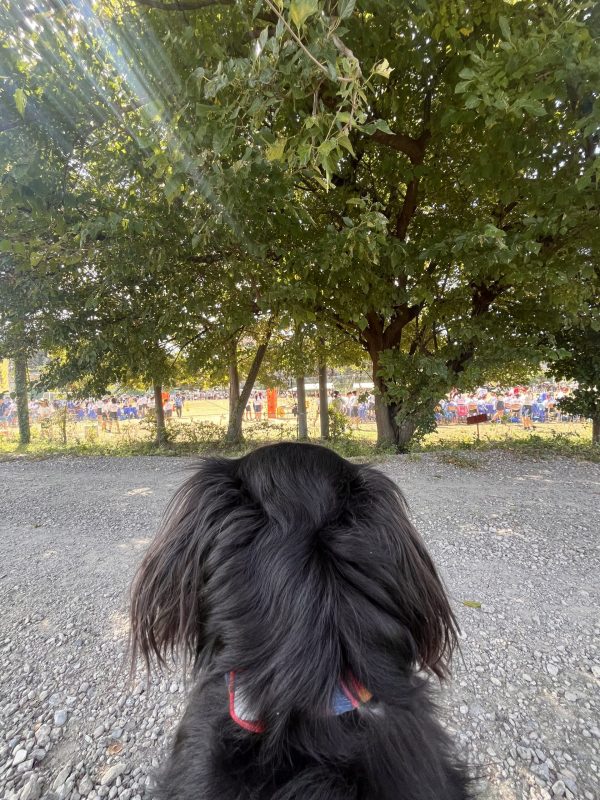 画像:娘の運動会🏃♀️
