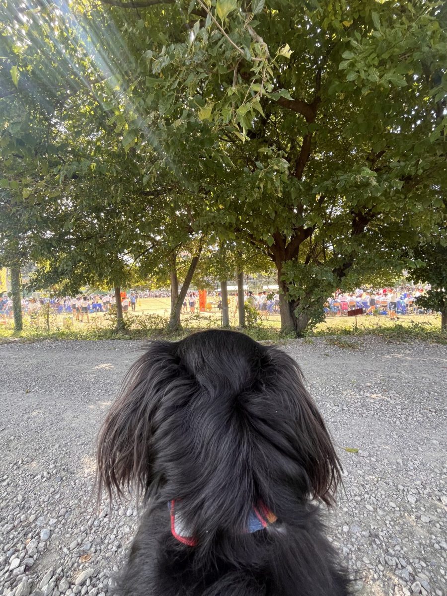 画像：娘の運動会🏃‍♀️