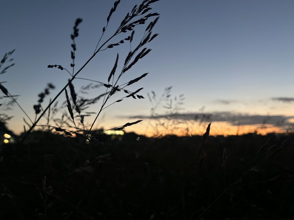 画像：秋の夕暮れ🌇