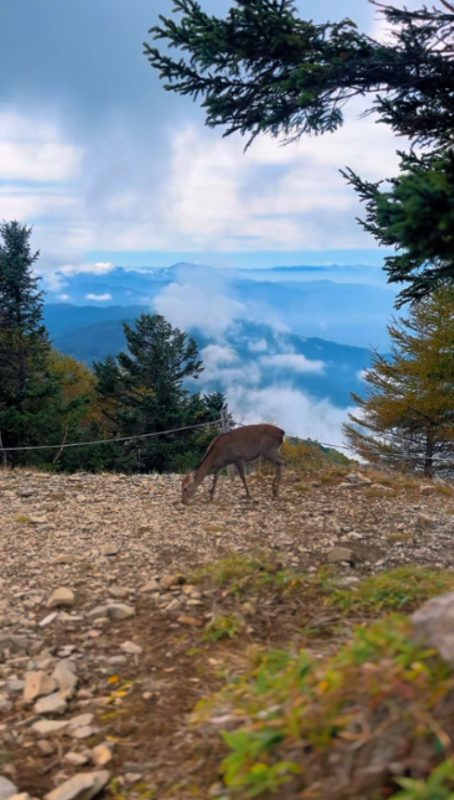 画像:第2回 山岳部活動レポート🗻✨