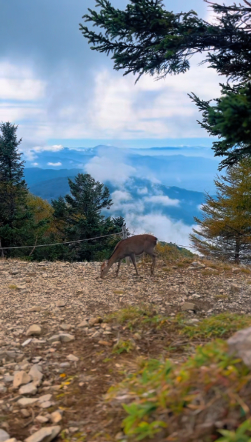 画像：第2回 山岳部活動レポート🗻✨