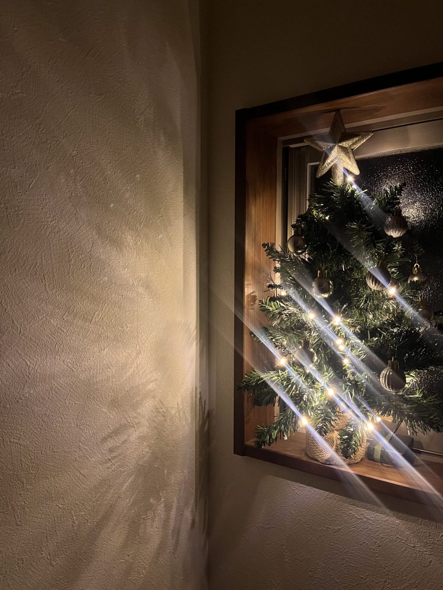 画像：クリスマスツリー🌲