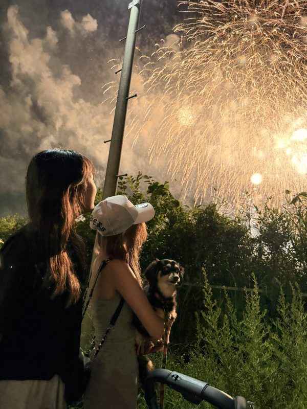 画像：急遽決まった、夏の思い出。大和田公園花火大会へ🎆